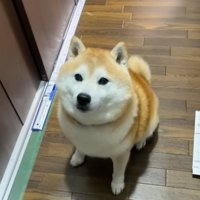 おすわりするらんまるくん