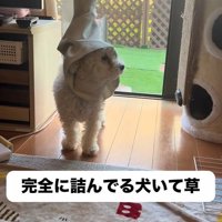「ダメだ、ほどけない…」