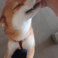 つぶちゃんのお出迎え♡