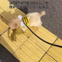 お気に入りの1品