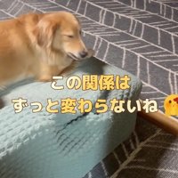 2人の絆は変わらない