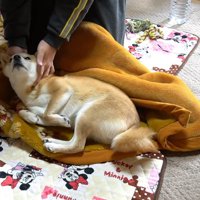 パパさんが起きたら…