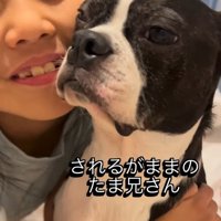 遠くを見つめる犬に顔を寄せる女の子