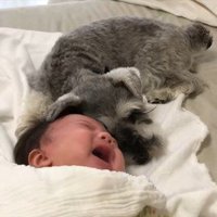 一緒に寝るトトちゃんと女の子2