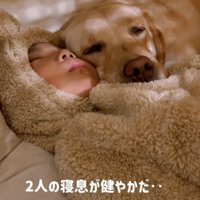 寝息を立てて寝る犬と男の子