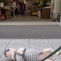 お店の前でもトレーニング♪