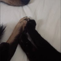 お手々をピタッ♡