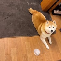 「行っちゃうの…？」