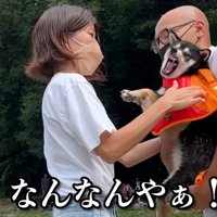 「まだ泳がせる気？やめろ！」と大暴れ