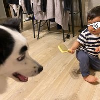 マロくんと息子さん