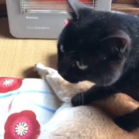 また踏んづけています！