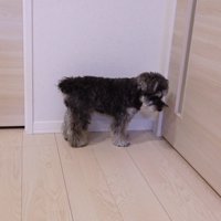 2人が帰ると、ドアの前でしょんぼり