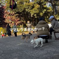 ほかの人に尋ねるカッパちゃん