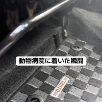 病院嫌いのお殿くん
