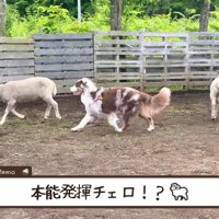 才能が一気に開花