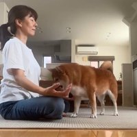 瞑想を邪魔する野々花ちゃん6