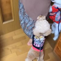 2匹揃って大喜び♪