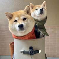 仲良し