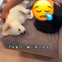 パパと眠るソラくん2