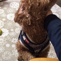 ナデナデされて幸せそう♡