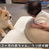 トレーニング中も見守っています