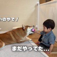 男の子が奪い返した！