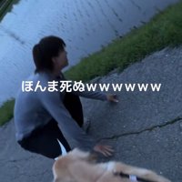 お散歩中のベイリーちゃんとパパ8