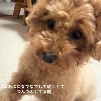 「もっと撫でて♡」