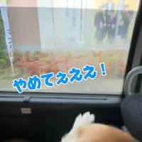 窓を開けてみると…