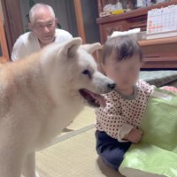 「大丈夫みたい」