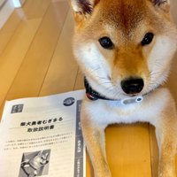 むぎまるちゃんの取扱説明書