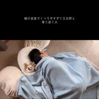 爆睡中の旦那さんと寄り添うアモちゃん