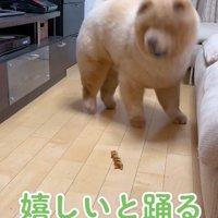 「おやつだ！！」