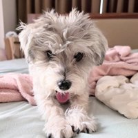寝起き