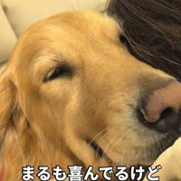 まるちゃんとママさんの再会9