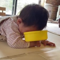 皿に口を付けて水分補給！？