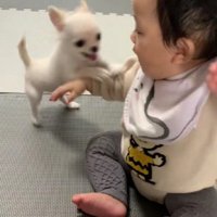「一緒に踊ろう♪」