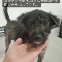 甘えん坊の元気な女の子に！