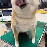 体重が増えたあーちゃん