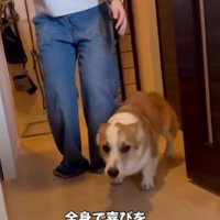 興奮が止まらないトニちゃん