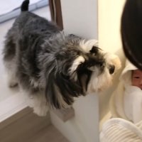 ジジちゃんがお出迎え