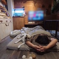 腕の上に横たわる大福くん