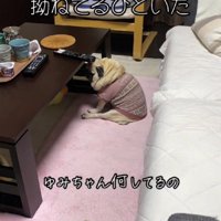 「なんで置いて行ったの…」