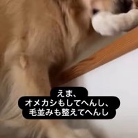 エマちゃんとパパさんの再会4