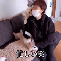 忙しいお母さん