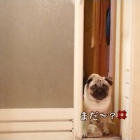 ダッシュで戻ってきて「まだ！？」と激怒
