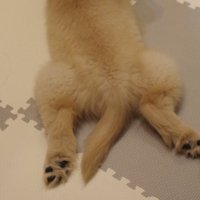 生後2ヶ月