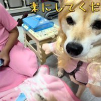 「大丈夫ですよ」