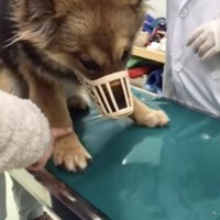 愛情をたっぷり注いでもらいます