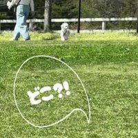 「ママはどこ？」